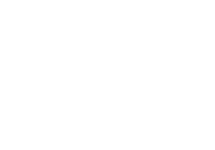 Logo von unserem Kunde Bundesakademie Trossingen 